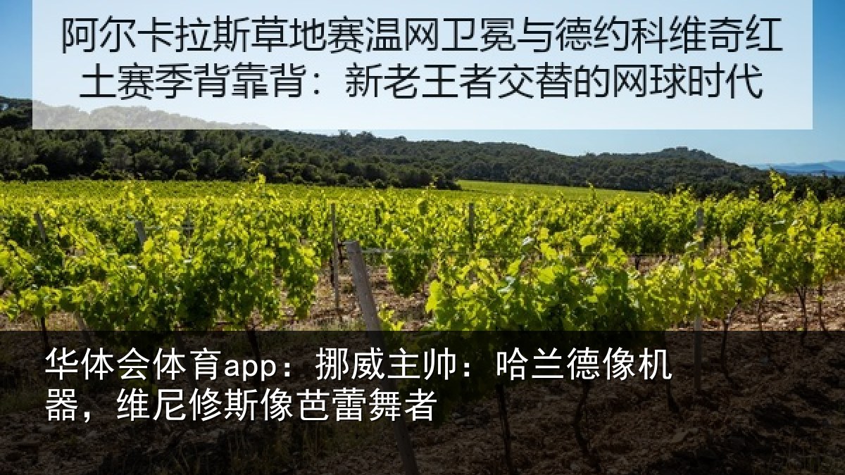 华体会体育app：挪威相关情况，维尼修斯像芭蕾舞者